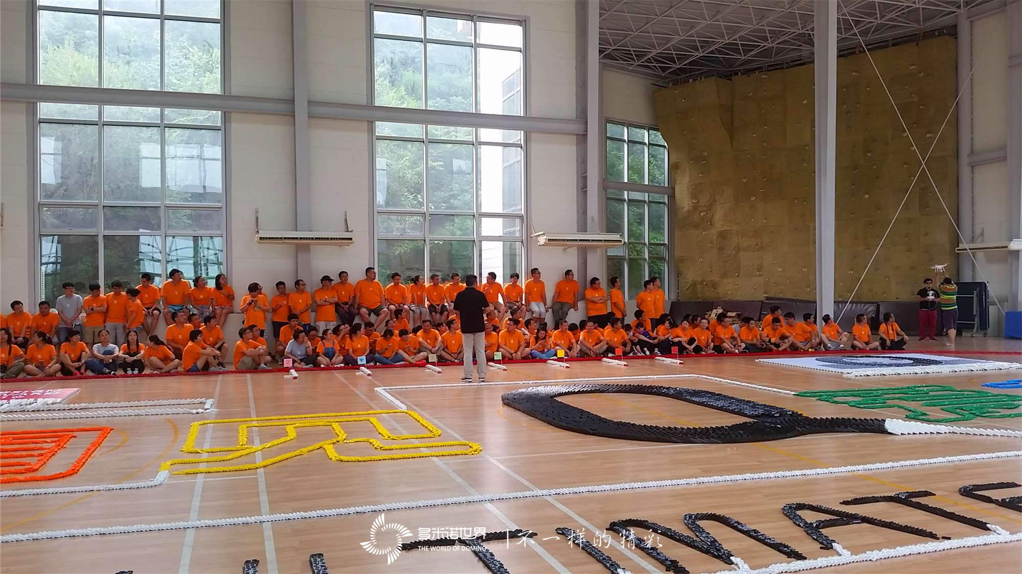 數(shù)字家園多米諾團(tuán)隊(duì)大挑戰(zhàn)  