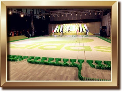 創(chuàng)造最大多米諾標(biāo)識紀錄 