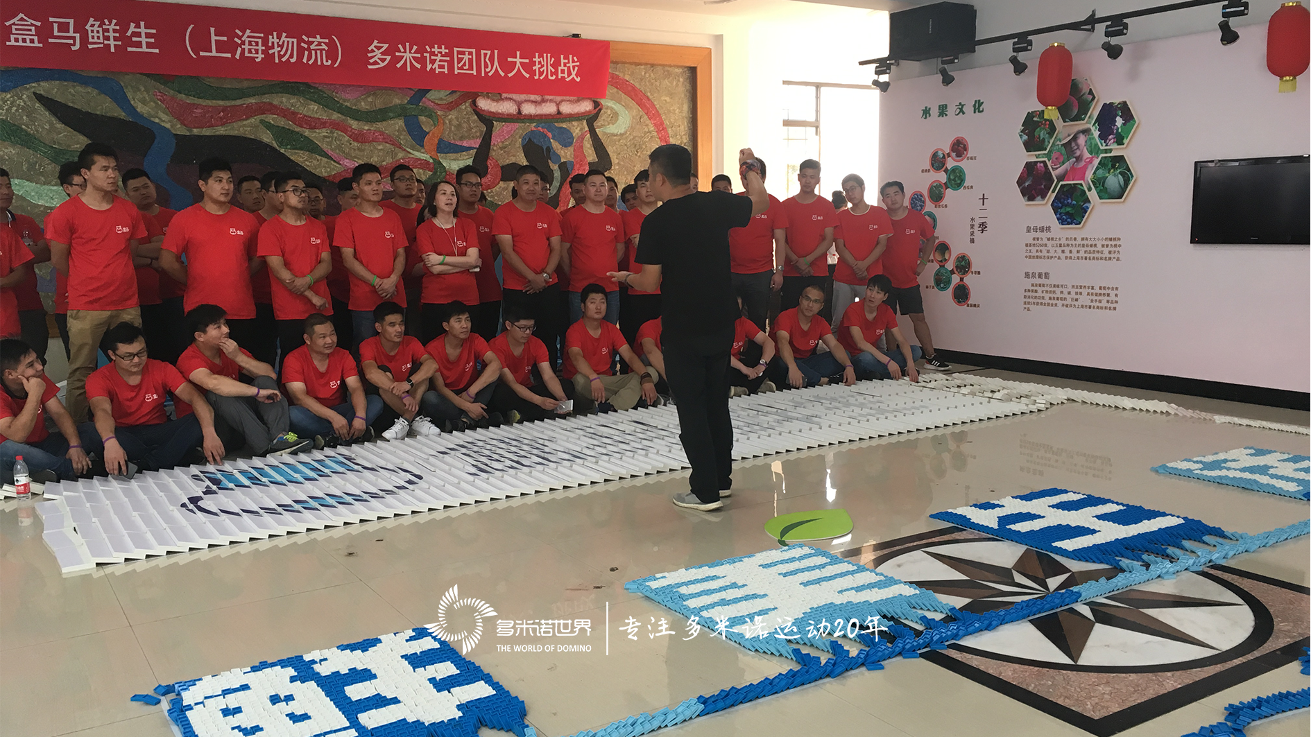 盒馬鮮生（上海物流）多米諾團(tuán)隊(duì)大挑戰(zhàn)