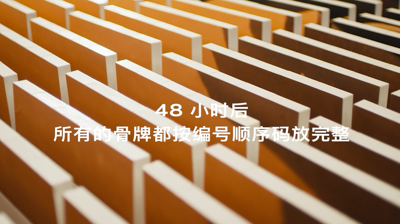 “沙漠多米諾”致敬RS Q e-tron與奧迪車(chē)隊(duì)