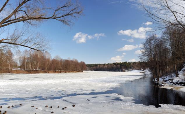 1733127985676146.jpg 搜狗高速瀏覽器截圖20241202155648.jpg